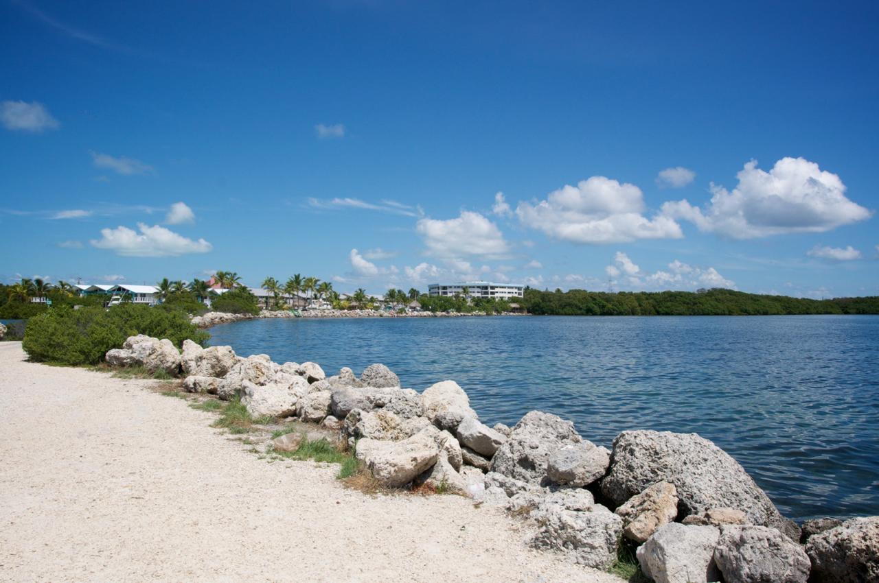 Kawama Yacht Club Apartment Key Largo Exteriör bild